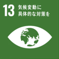 SDGs13アイコン