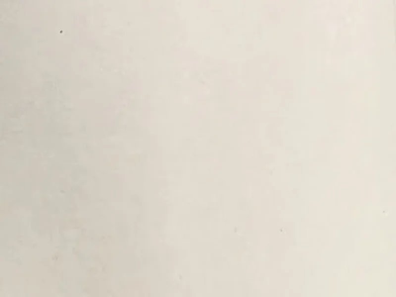 ペールグレー