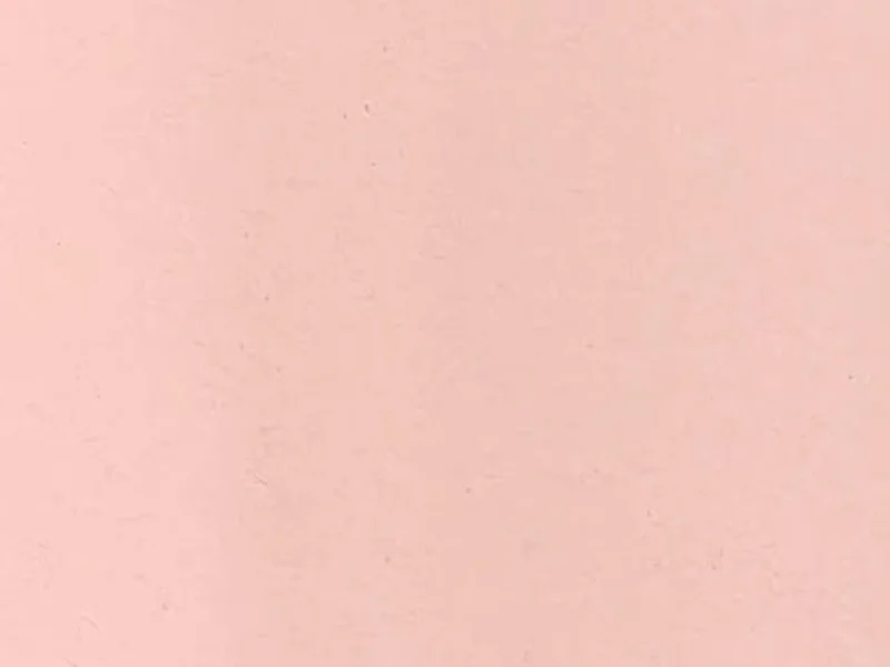 サクラ