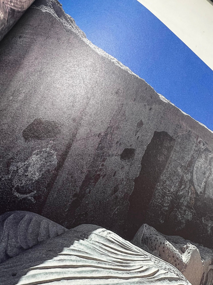 美しい印刷物を作成するための選択肢～b7トラネクストとマットコートの使い分け～ | 株式会社ペーパル