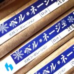 ベルネージュ（北越コーポレーション）