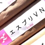エスプリVN（日本製紙）