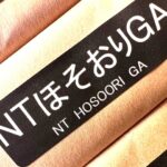 NTほそおりGA（ダイオーペーパープロダクツ）