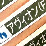 アヴィオン（F）（北越コーポレーション）
